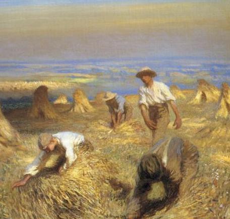 Harvest time - Clausen