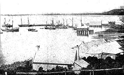 Dunedin Wharf from Bell Hill 1862